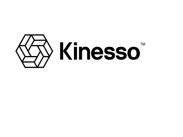 New report by Kinesso helps brands navigate digital advertising disruption